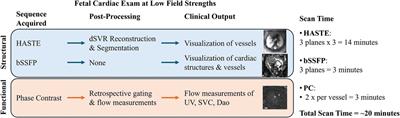 Structural and functional fetal cardiac imaging using low field (0.55 T) MRI